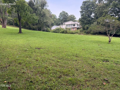 Vacant Land For Sale - TRACT #3 Lee St Off Blanton St<br/> Weber City, VA 24290