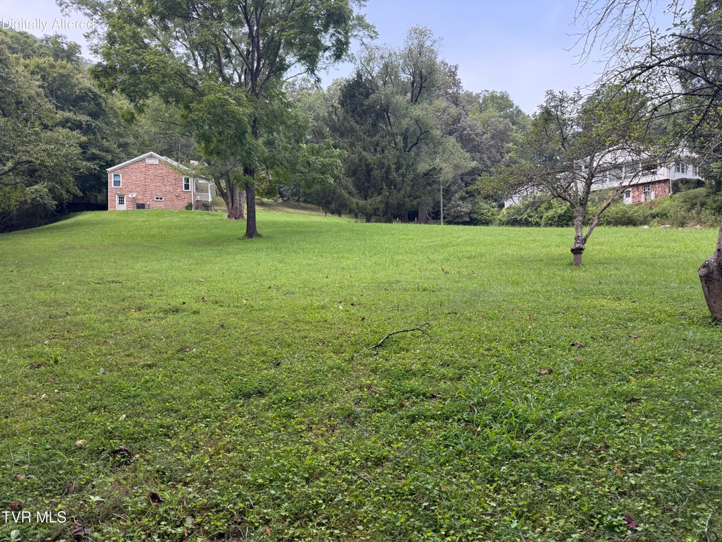 Photo of 3 Lee St Off Blanton ST, Weber City, VA 24290 (MLS # 10000729)