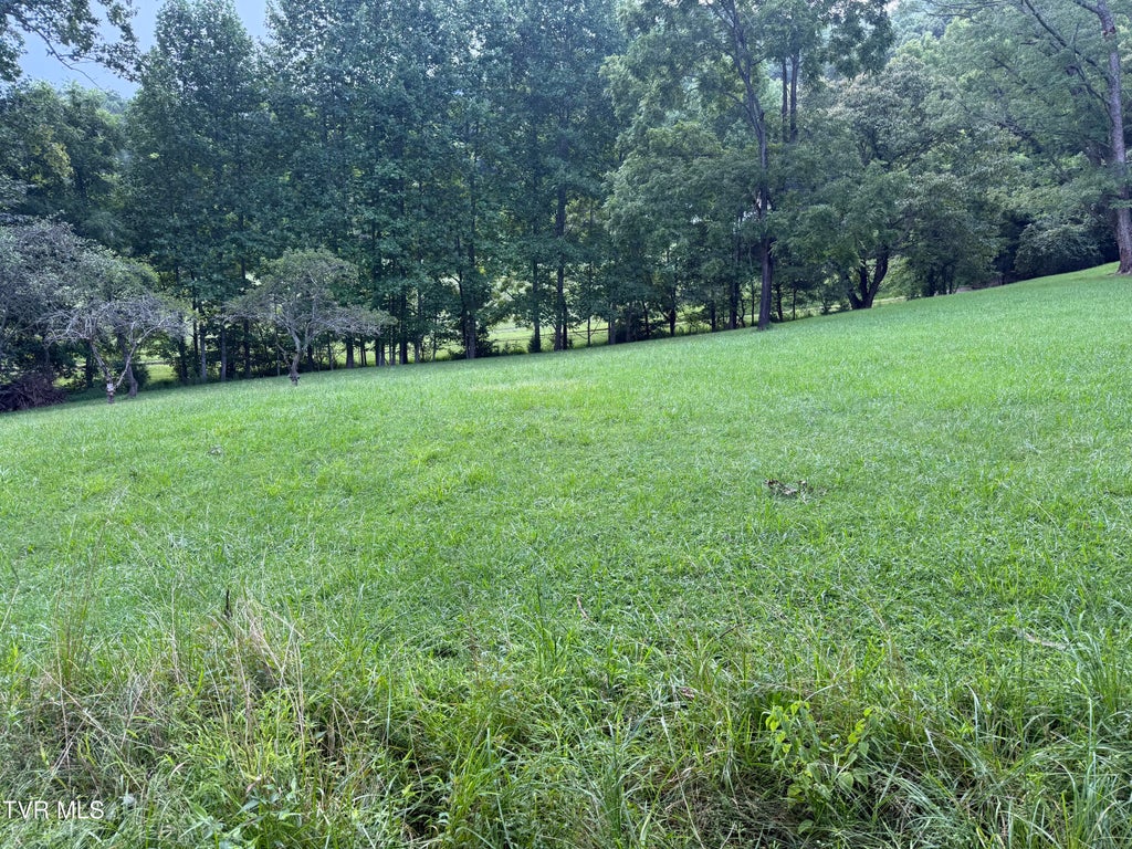 Photo of 3 Lee St Off Blanton ST, Weber City, VA 24290 (MLS # 10000729)