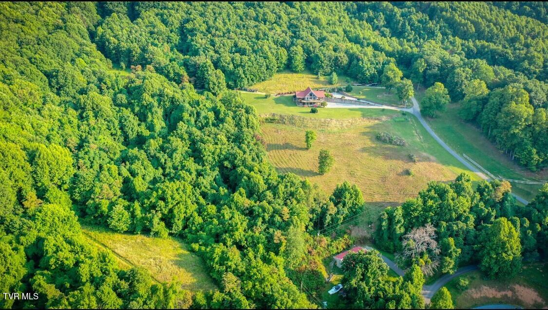 473 Morgans Lane, Lebanon, Virginia image 3
