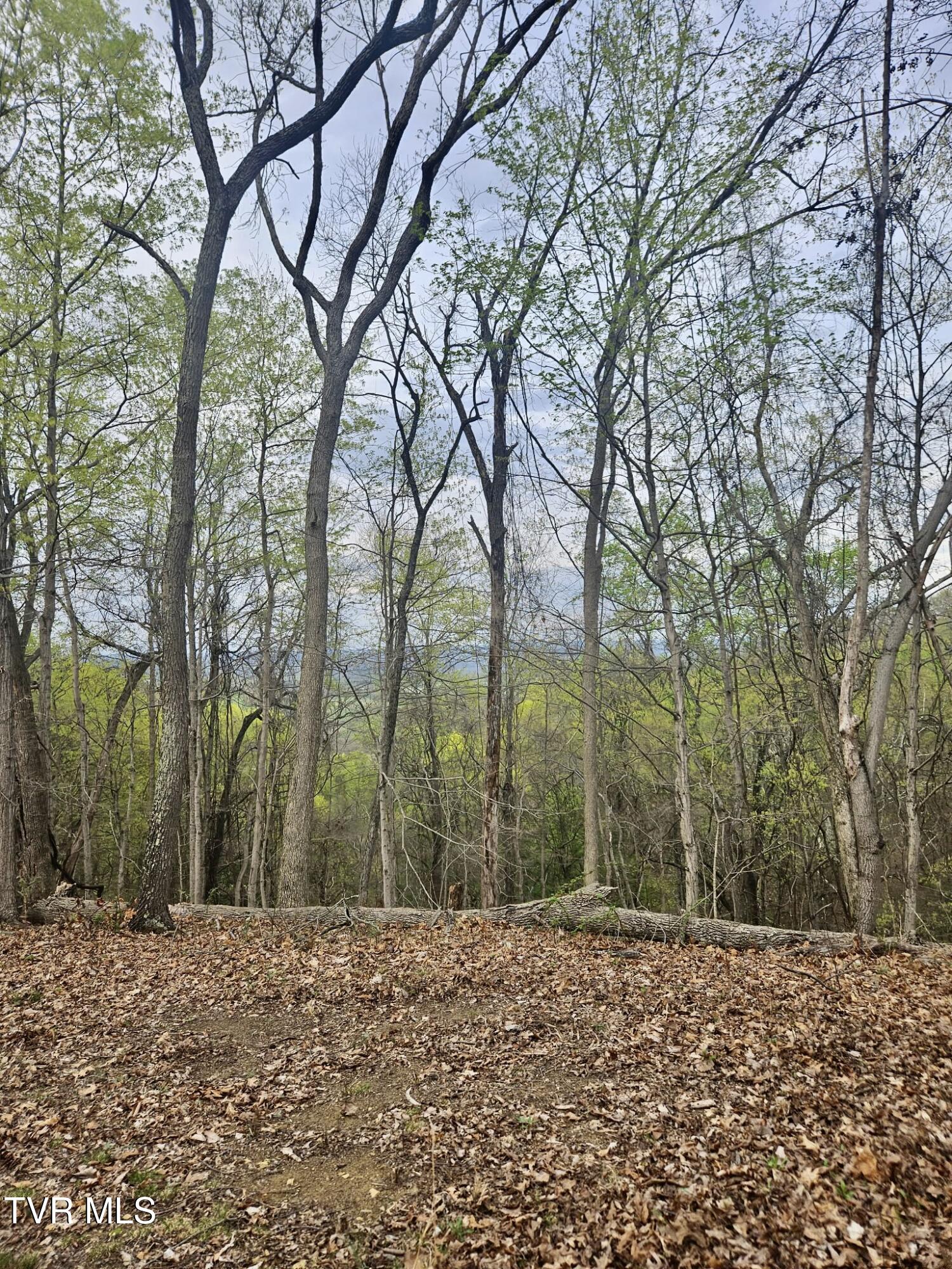 Christians Bend Road, Church Hill, Tennessee image 8