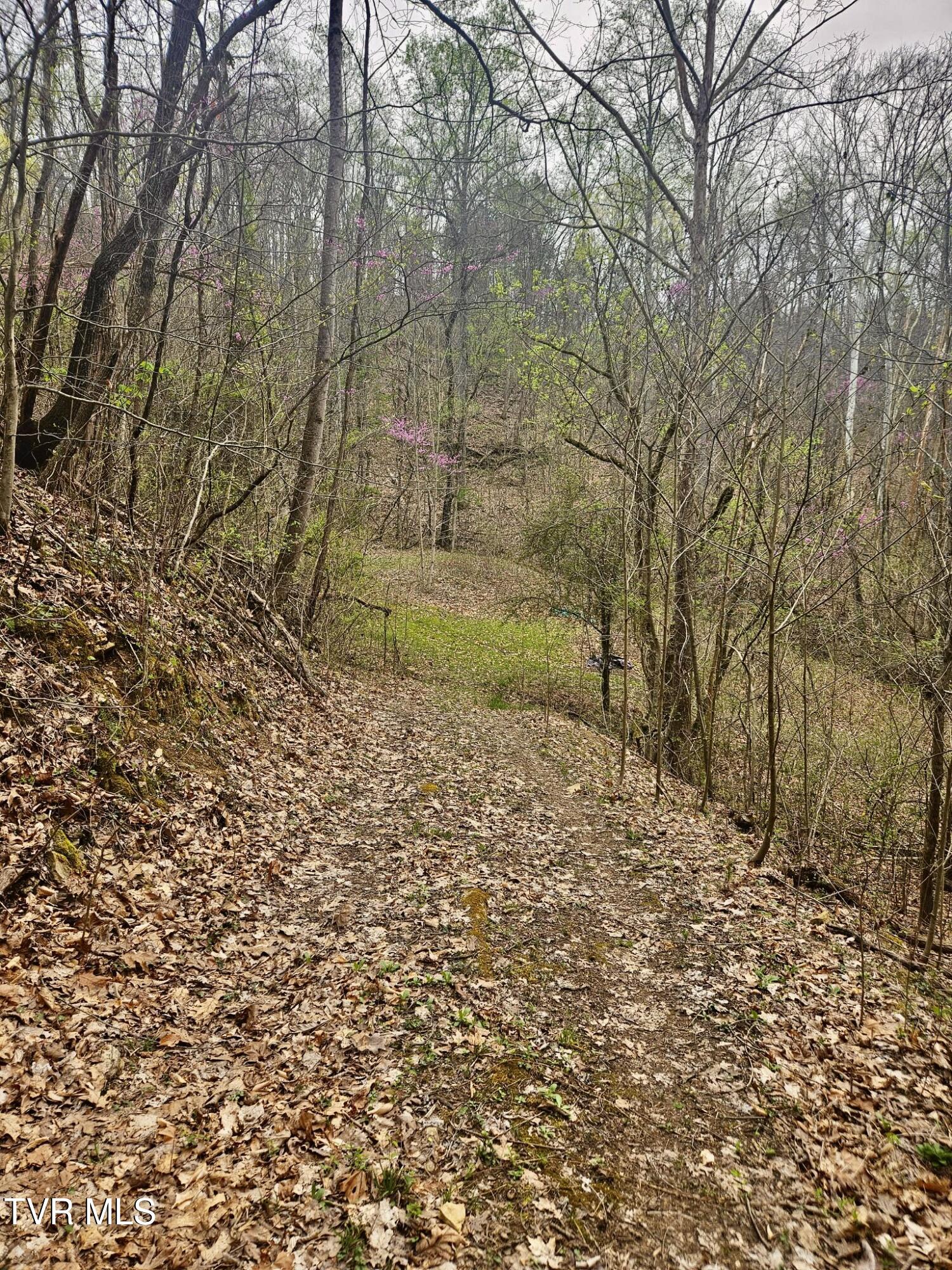 Christians Bend Road, Church Hill, Tennessee image 13