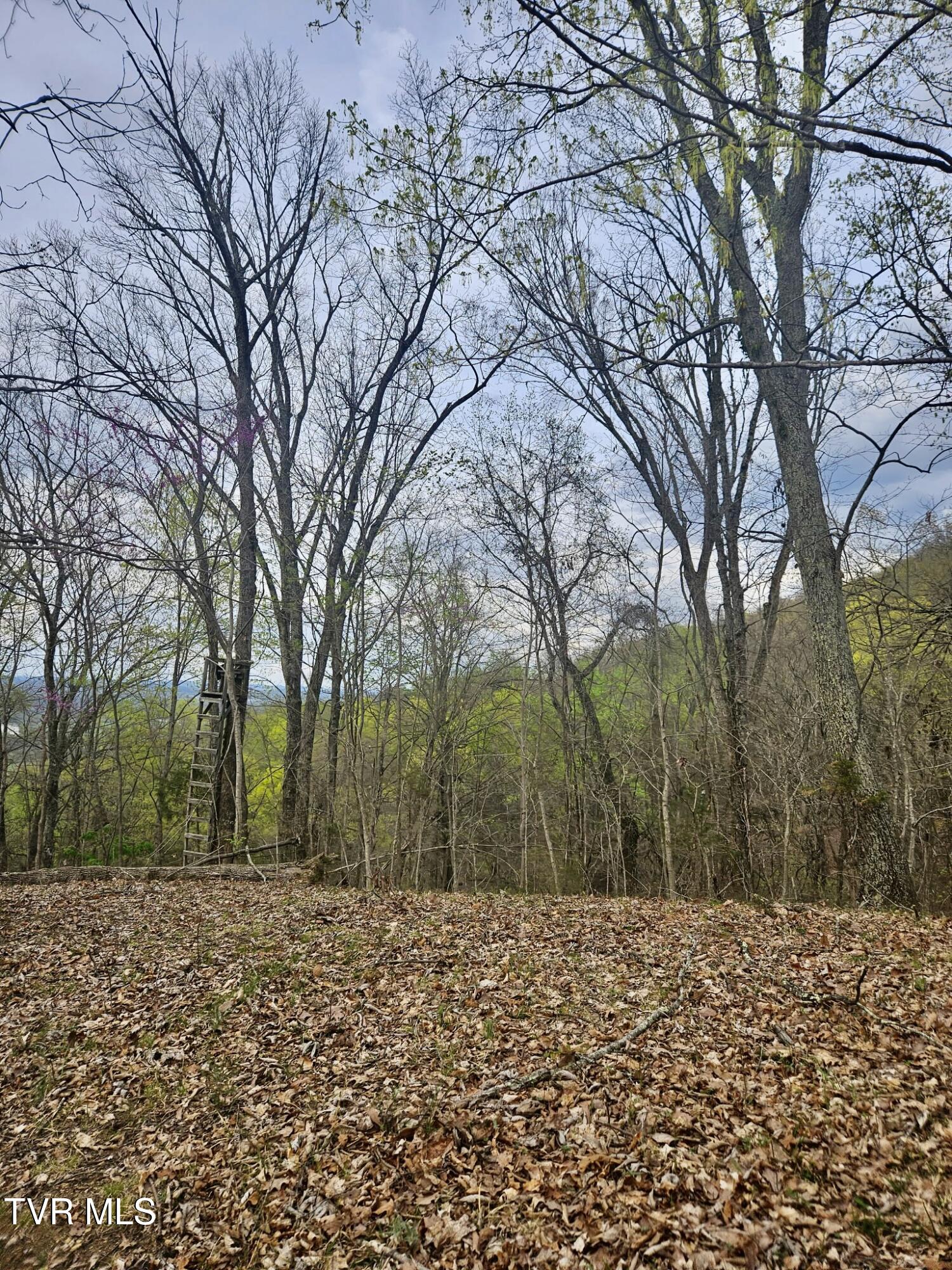 Christians Bend Road, Church Hill, Tennessee image 5