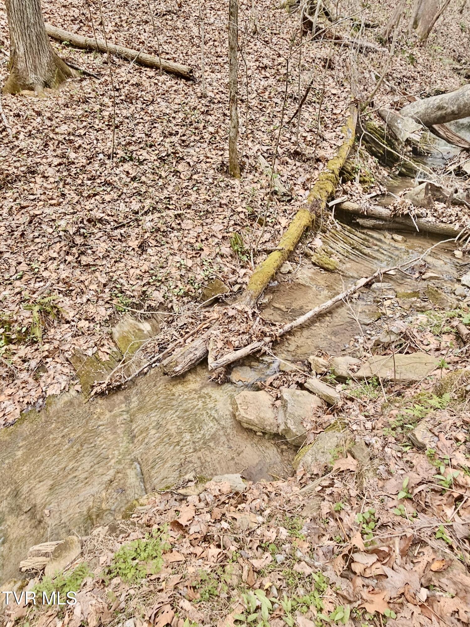 Christians Bend Road, Church Hill, Tennessee image 27