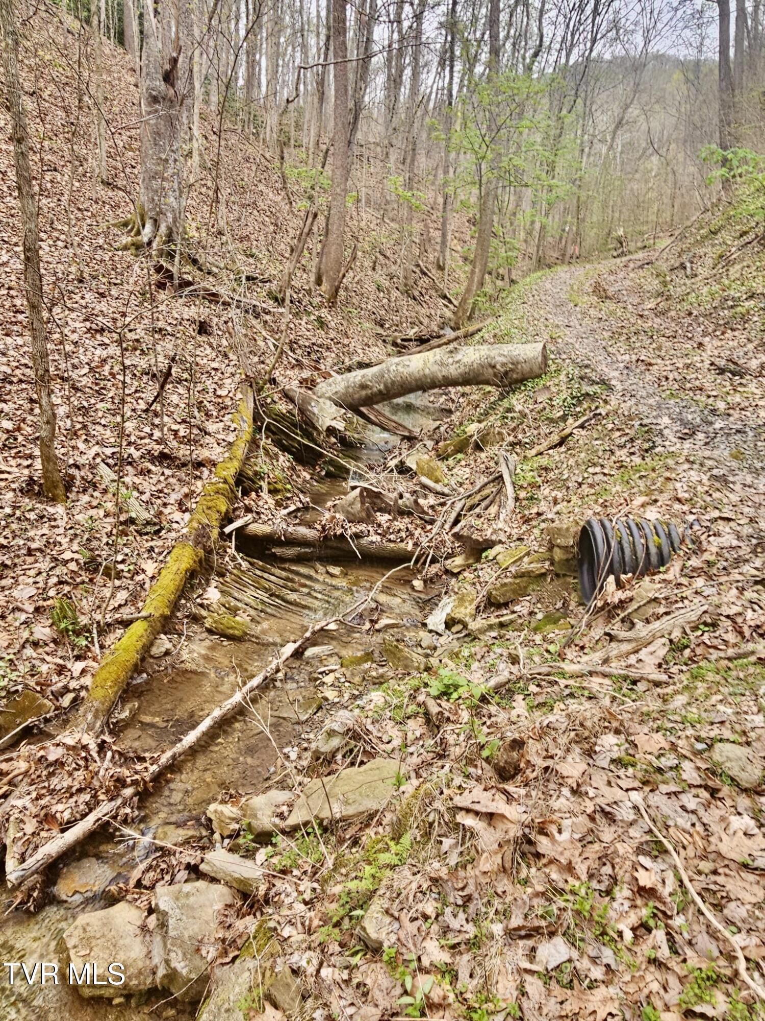 Christians Bend Road, Church Hill, Tennessee image 19
