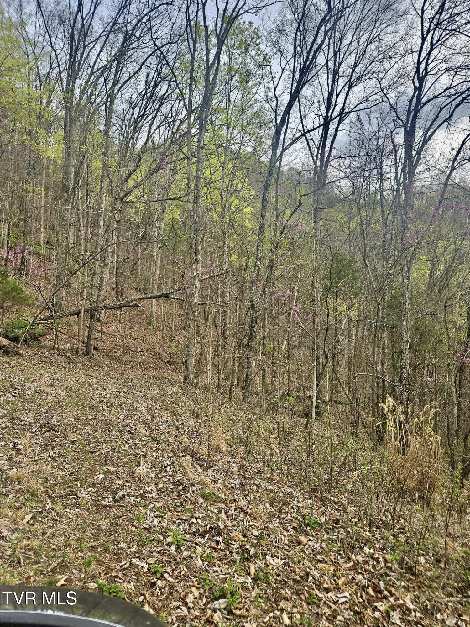 Christians Bend Road, Church Hill, Tennessee image 25