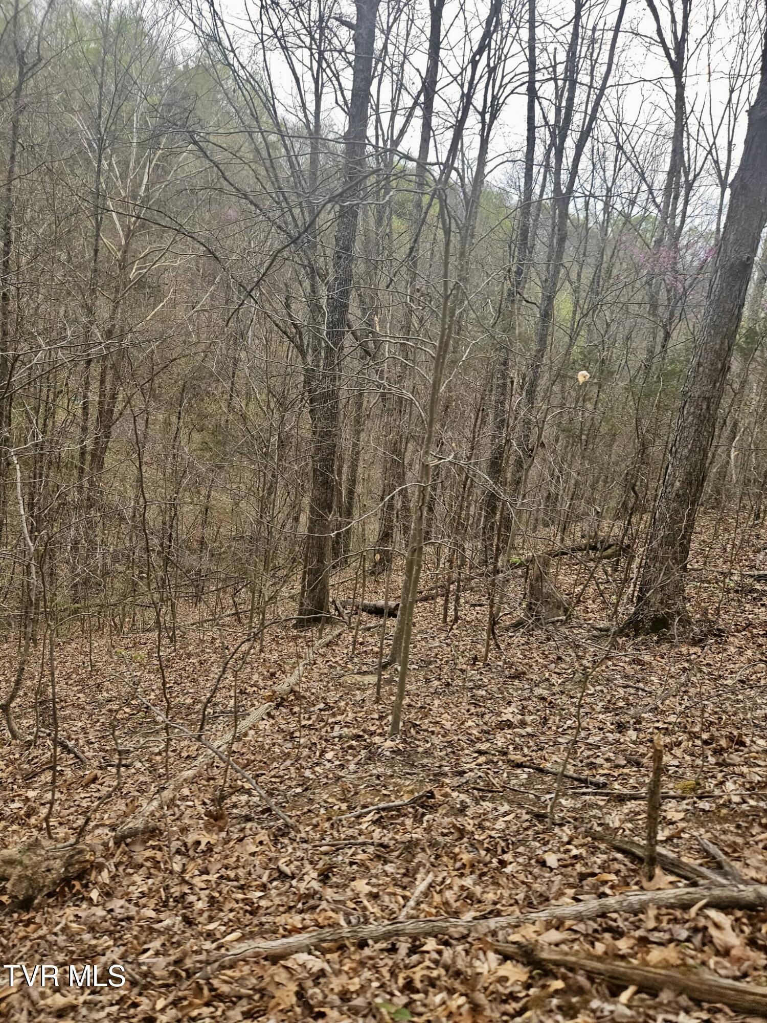 Christians Bend Road, Church Hill, Tennessee image 29