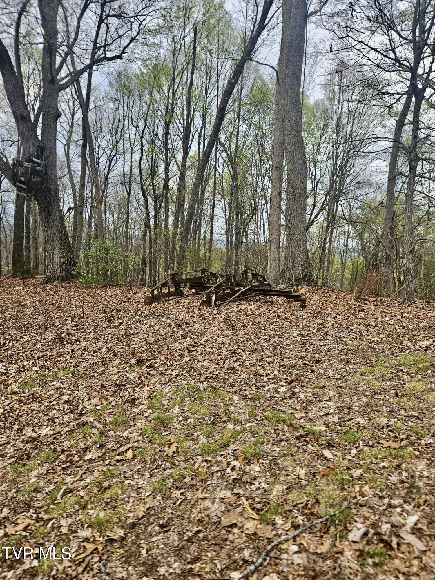 Christians Bend Road, Church Hill, Tennessee image 10