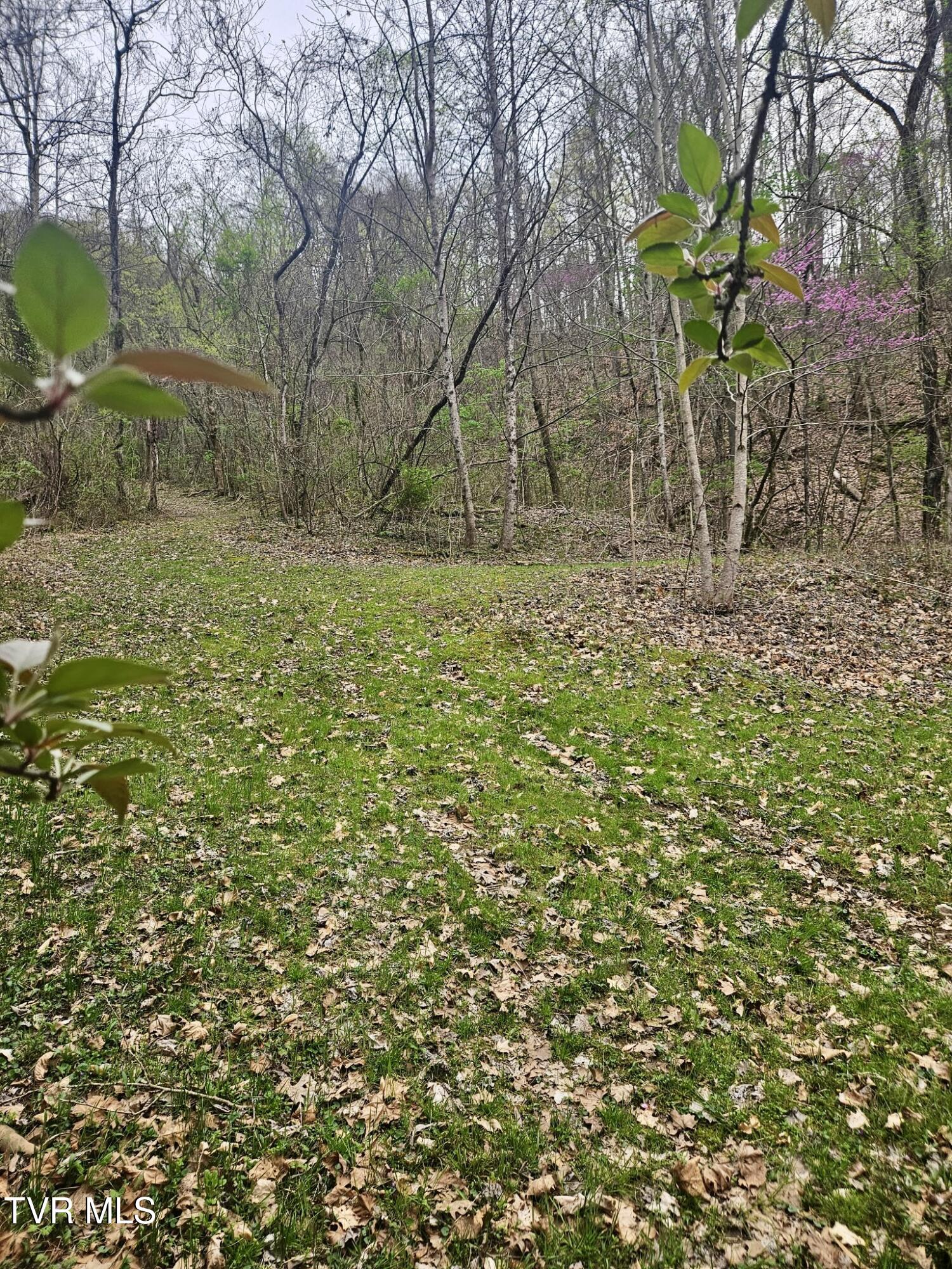 Christians Bend Road, Church Hill, Tennessee image 1