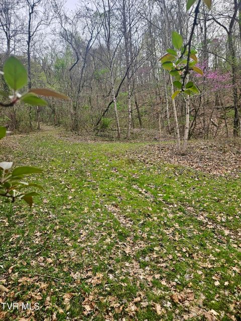 Vacant Land For Sale - Christians Bend Road<br/> Church Hill, TN 37642