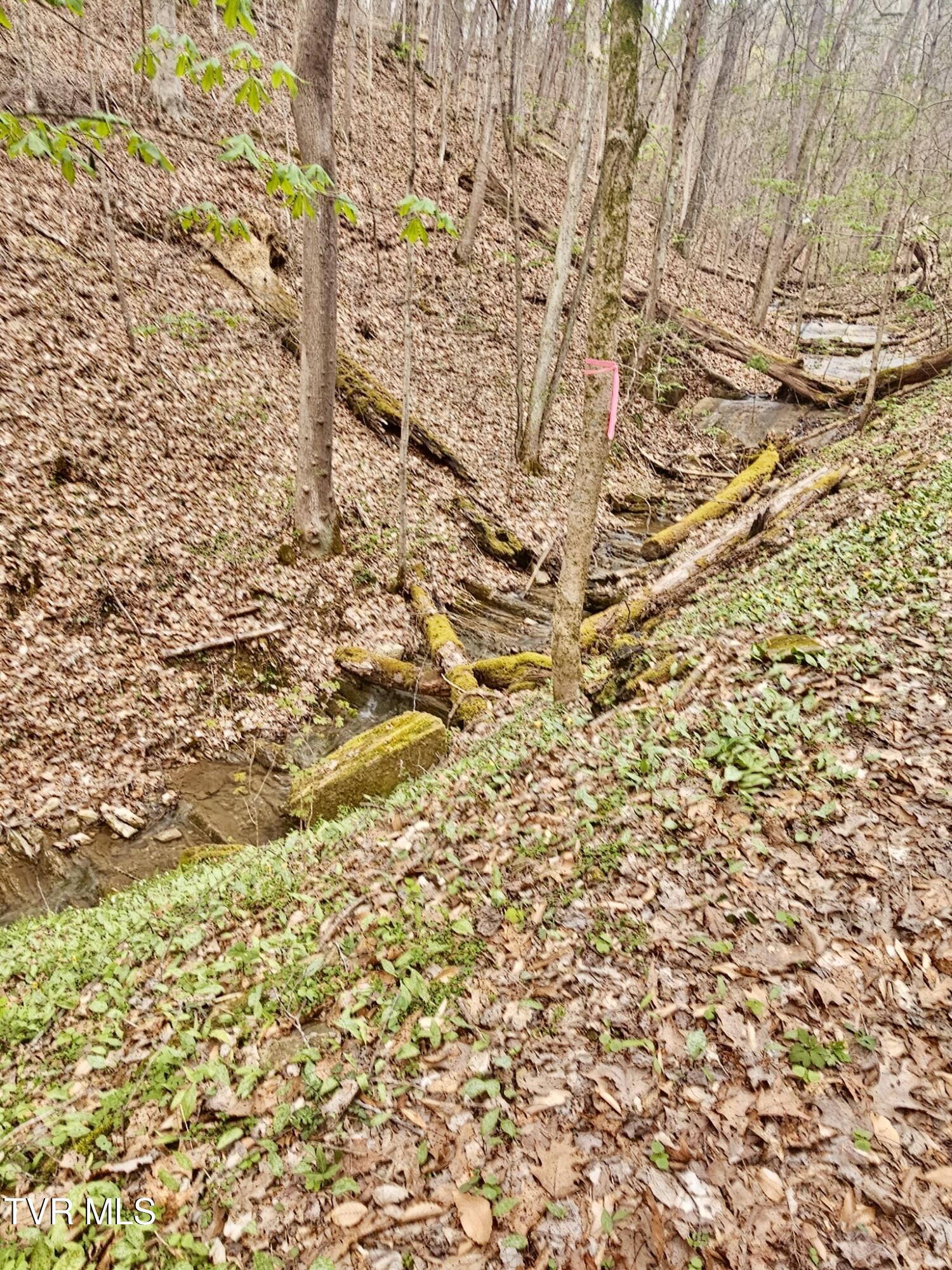 Christians Bend Road, Church Hill, Tennessee image 23