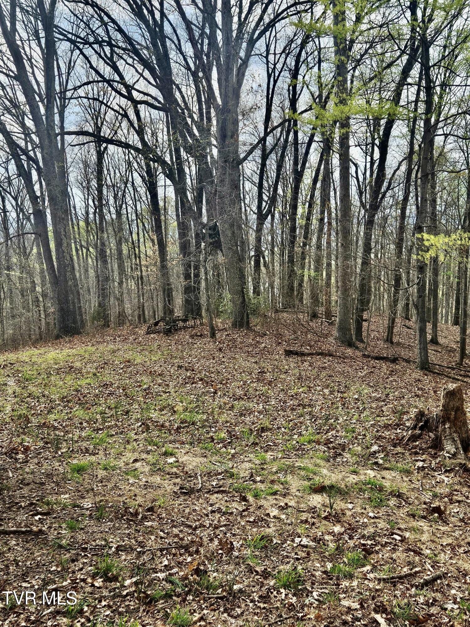 Christians Bend Road, Church Hill, Tennessee image 28