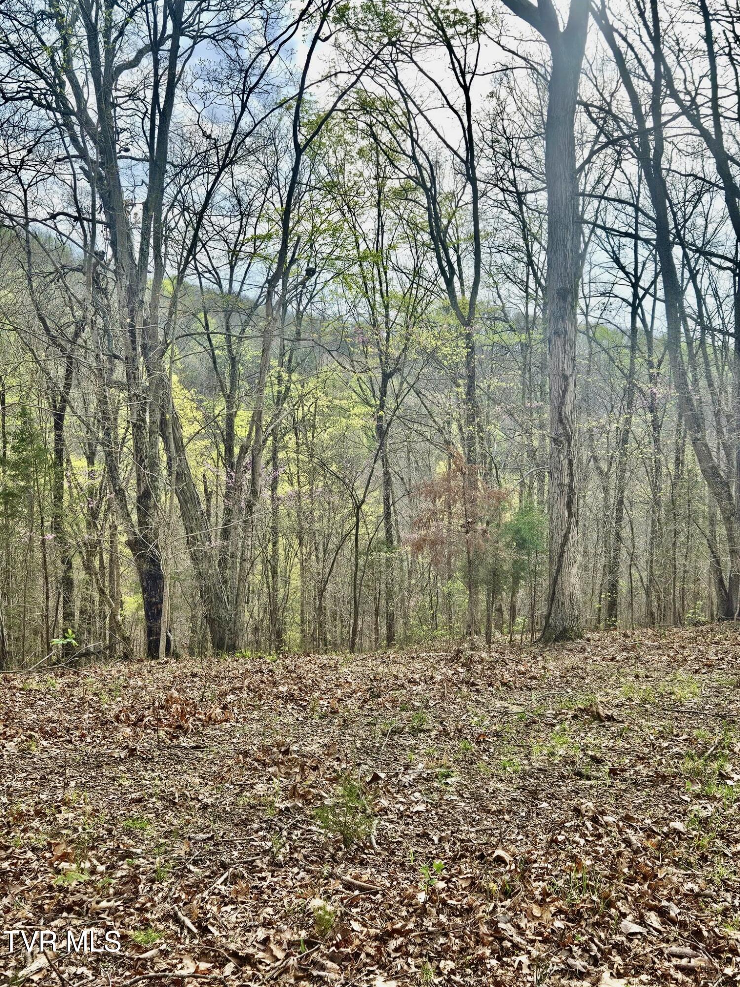 Christians Bend Road, Church Hill, Tennessee image 21