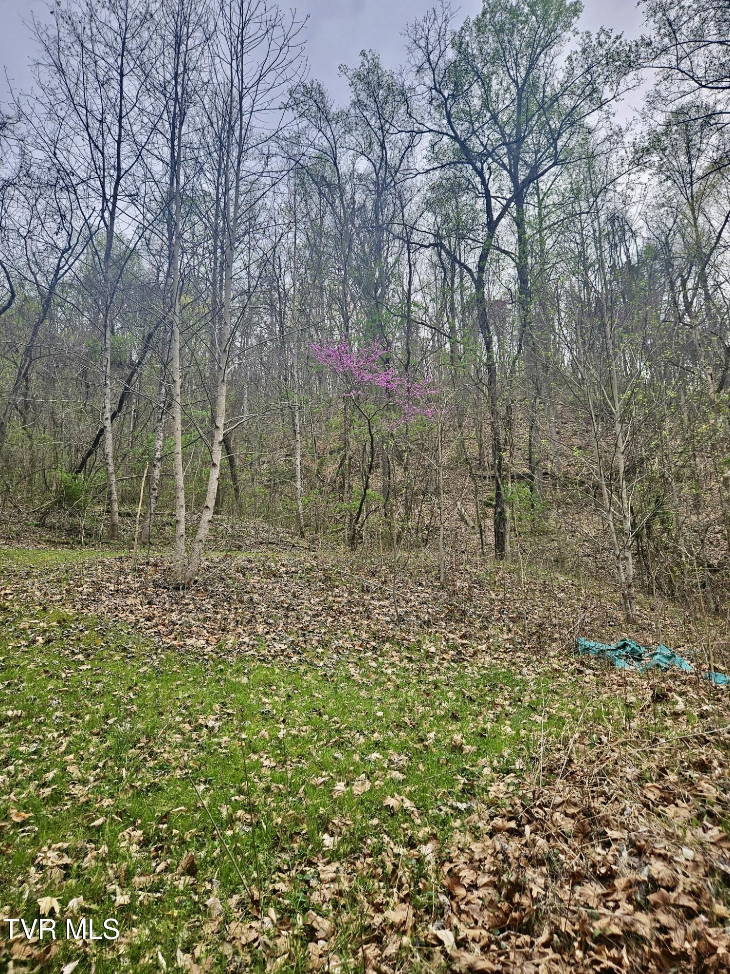 Christians Bend Road, Church Hill, Tennessee image 9