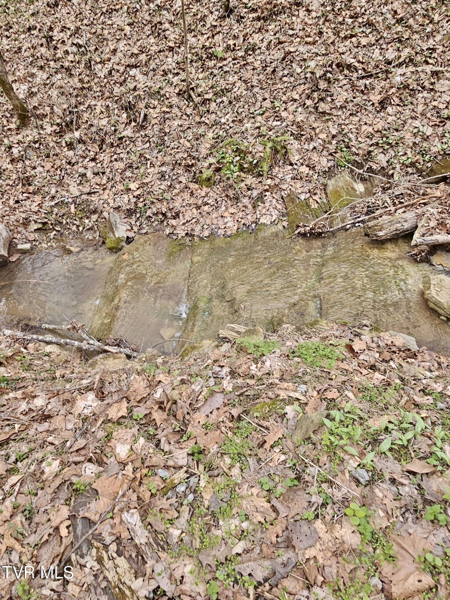 Christians Bend Road, Church Hill, Tennessee image 12