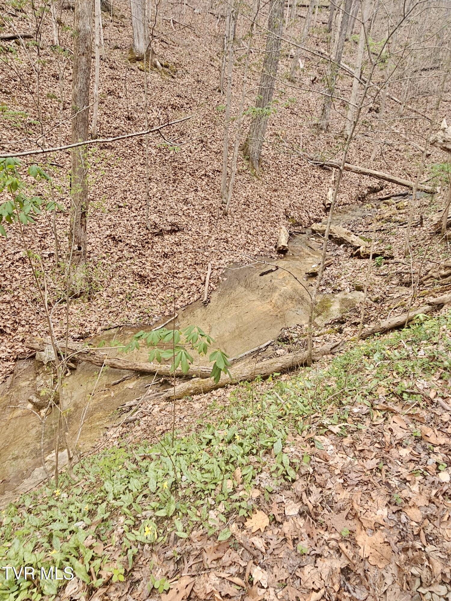 Christians Bend Road, Church Hill, Tennessee image 14