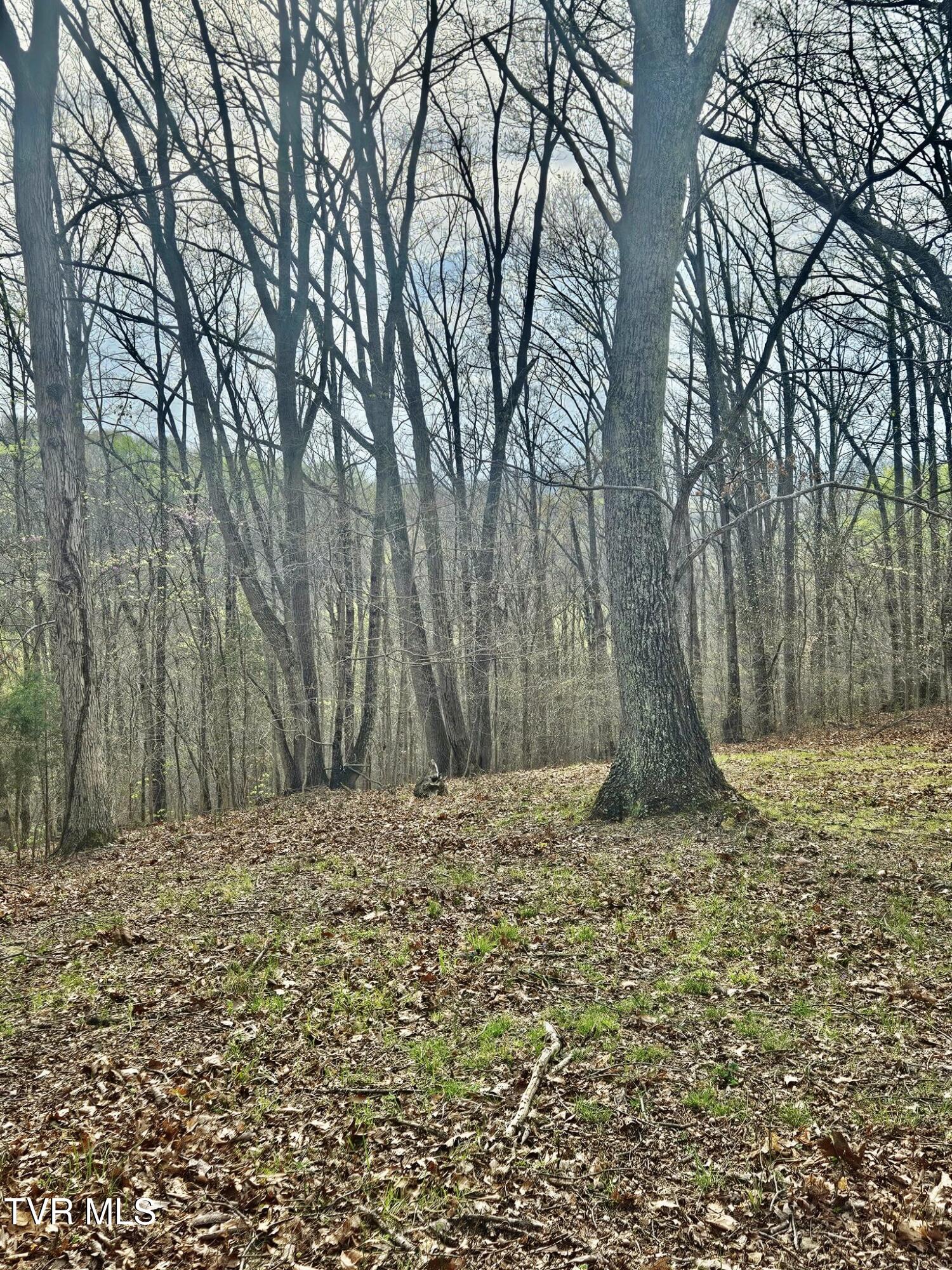 Christians Bend Road, Church Hill, Tennessee image 6