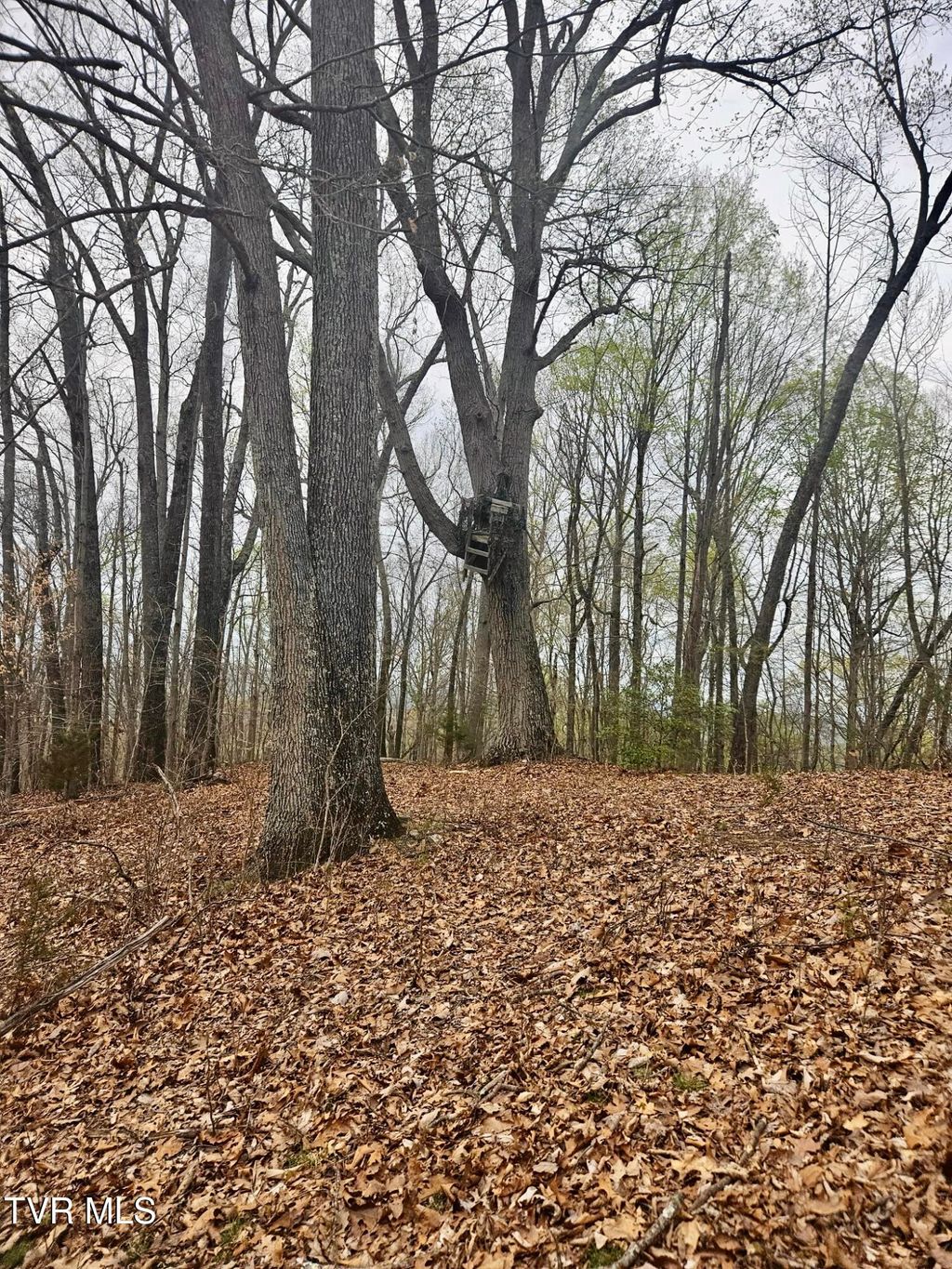 Photo of 0 Christians Bend Road, Church Hill, TN 37642 (MLS # 9978601)