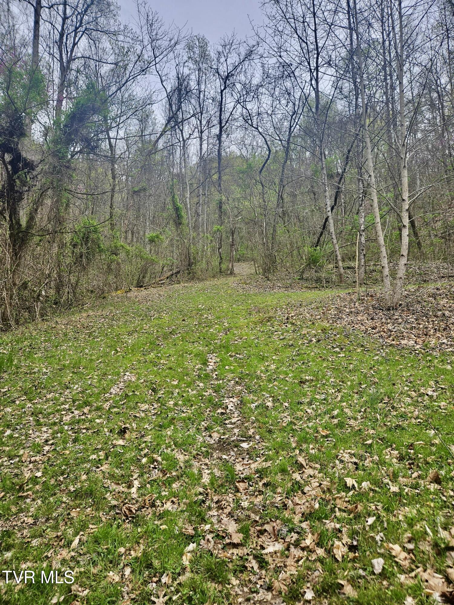 Christians Bend Road, Church Hill, Tennessee image 7
