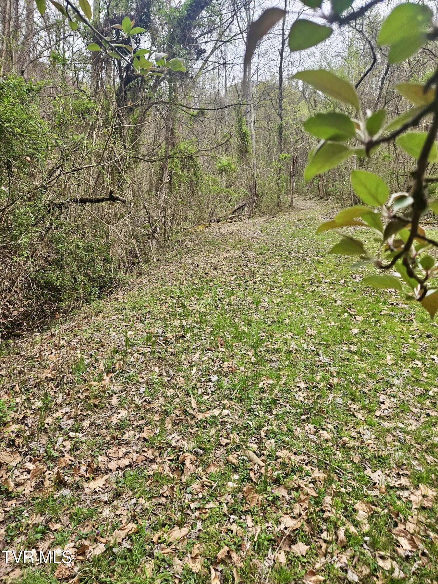 Christians Bend Road, Church Hill, Tennessee image 20