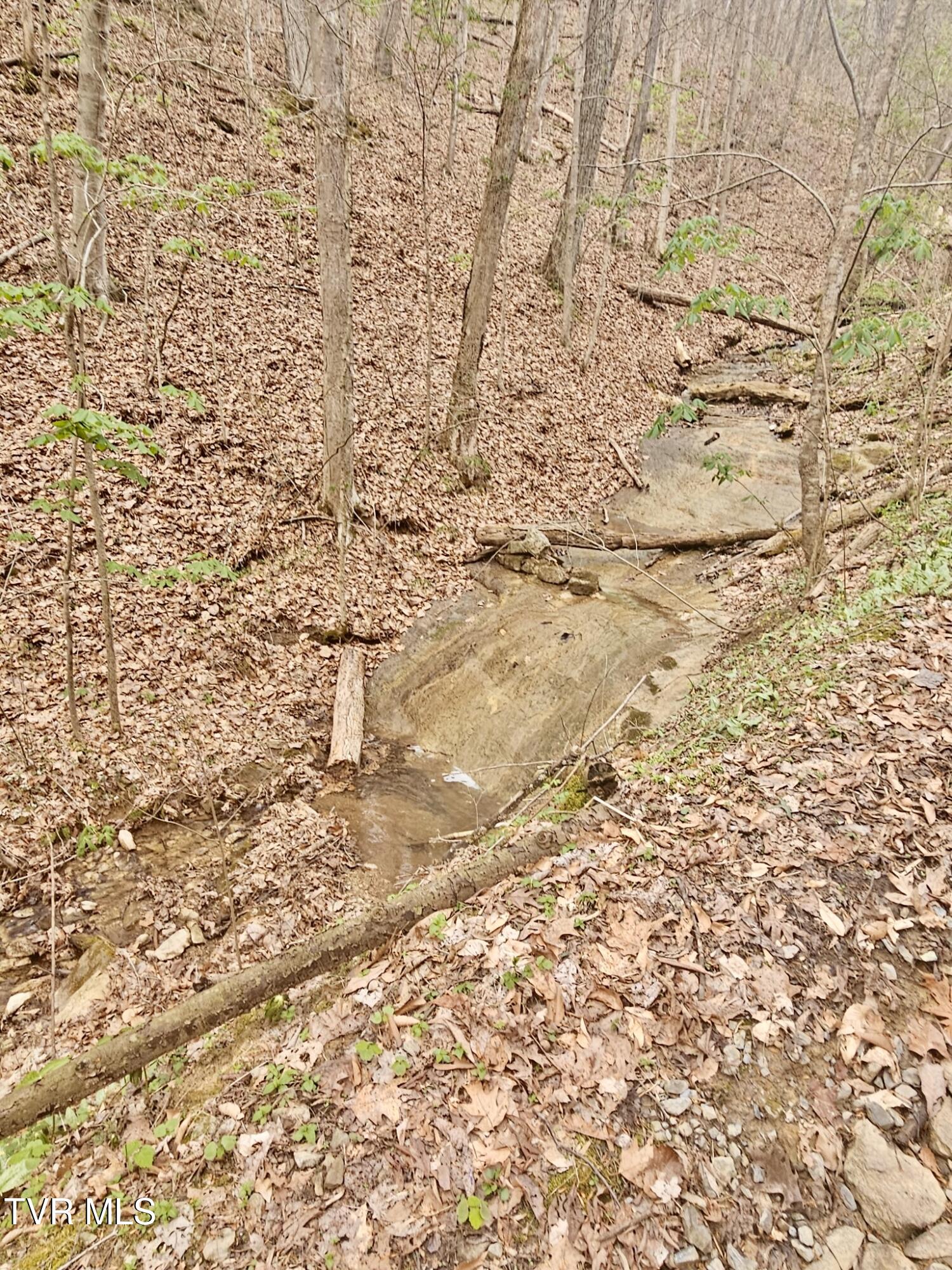 Christians Bend Road, Church Hill, Tennessee image 2