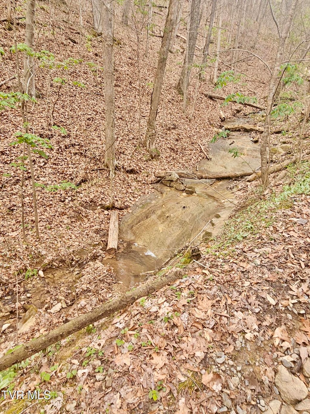 Photo of 0 Christians Bend Road, Church Hill, TN 37642 (MLS # 9978601)