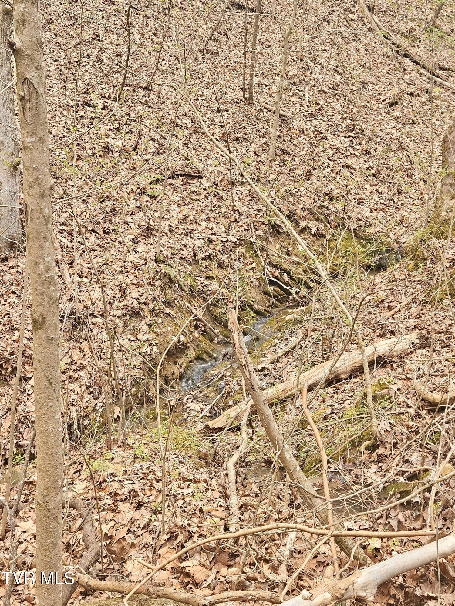 Christians Bend Road, Church Hill, Tennessee image 30