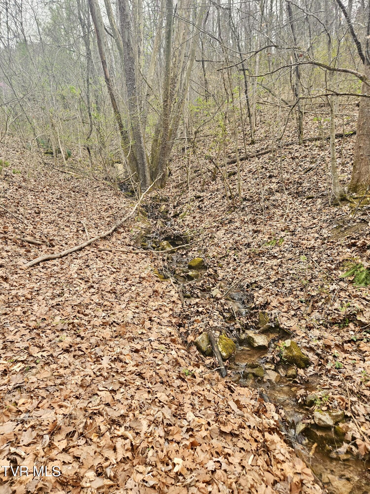 Christians Bend Road, Church Hill, Tennessee image 17