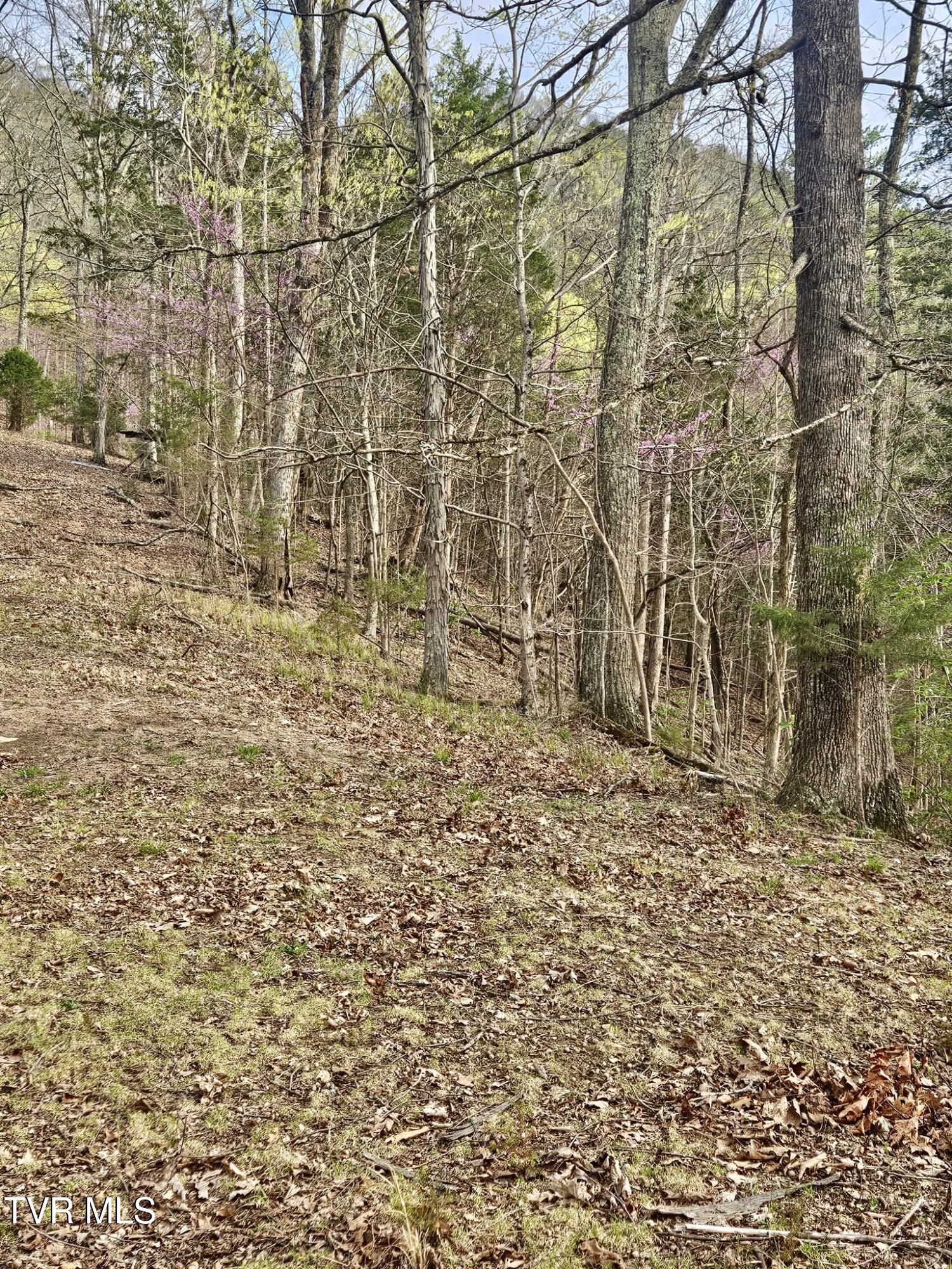 Christians Bend Road, Church Hill, Tennessee image 15