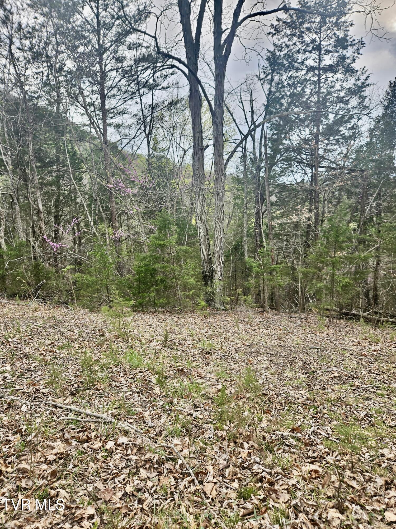 Christians Bend Road, Church Hill, Tennessee image 22