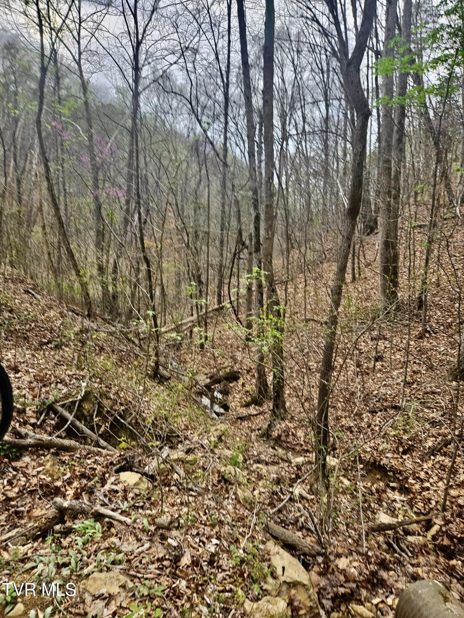 Christians Bend Road, Church Hill, Tennessee image 11