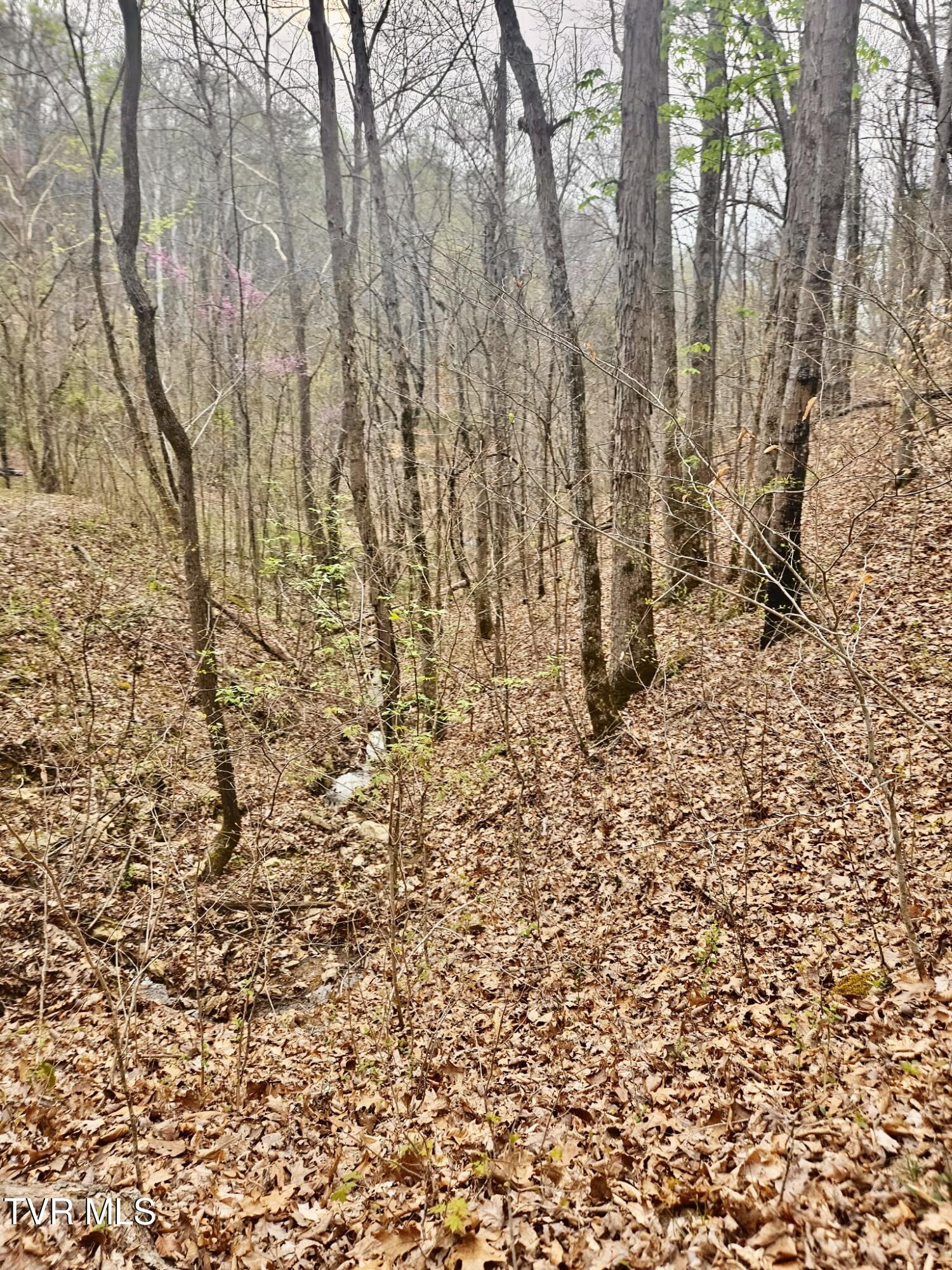 Christians Bend Road, Church Hill, Tennessee image 18