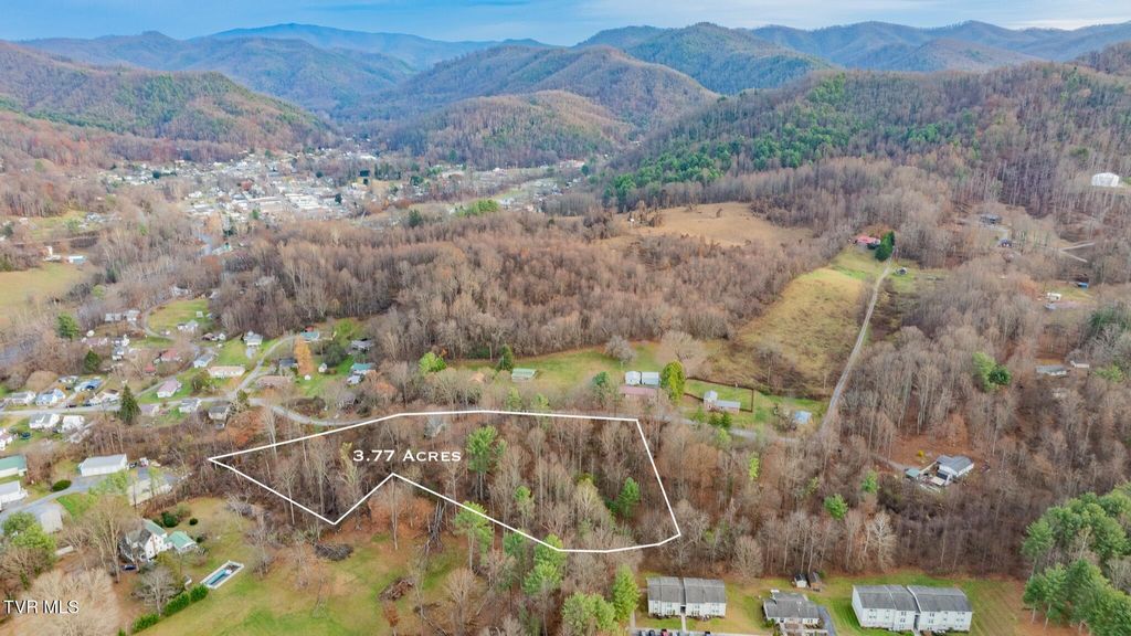 Photo of 32209 Rambo Street, Damascus, VA 24236 (MLS # 9988405)