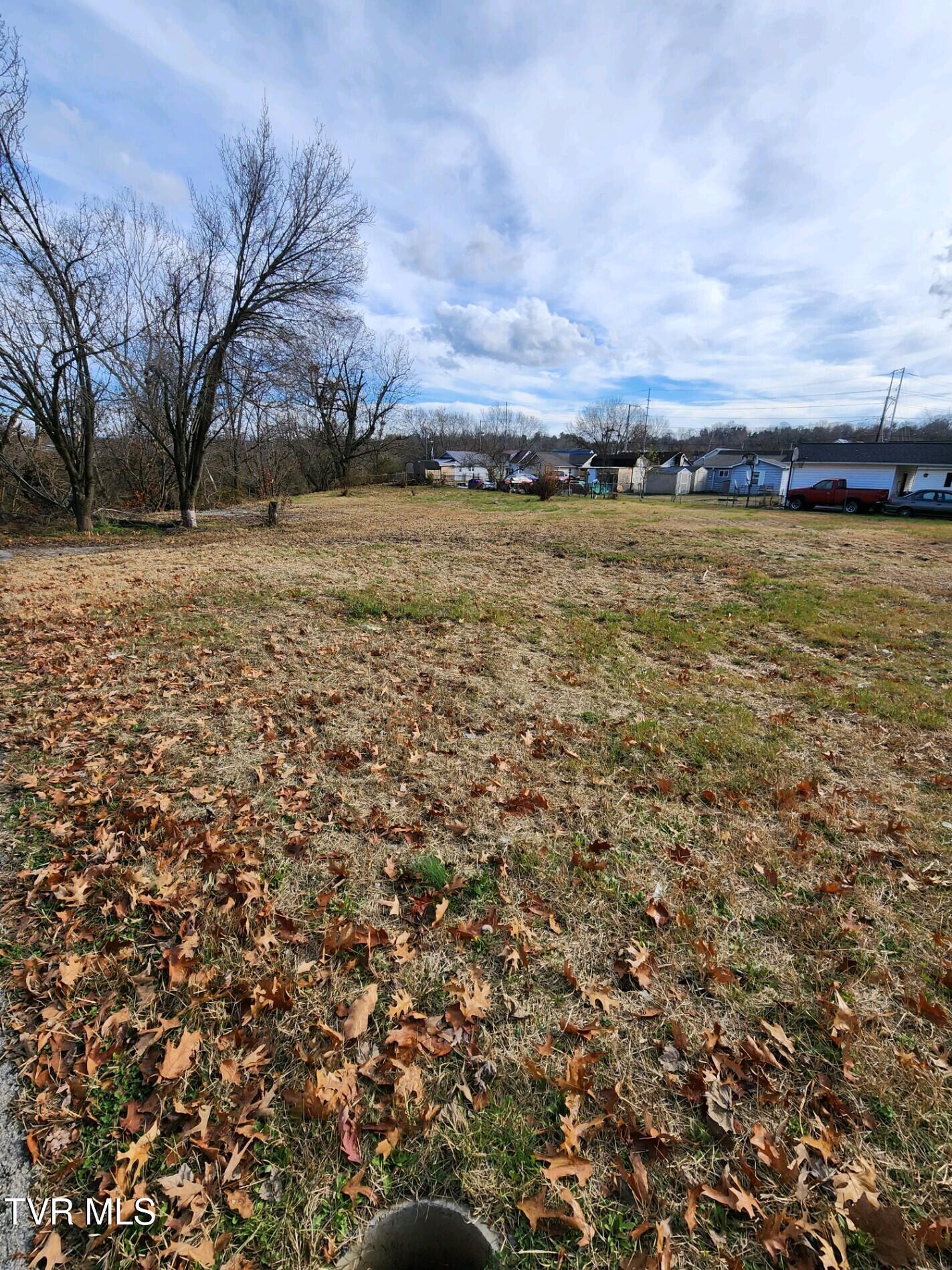 221 Cedar Street, Kingsport, Tennessee image 1
