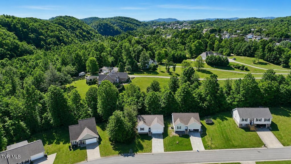Photo of 170 Brighton Place, Bristol, TN 37620 (MLS # 9995746)