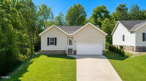 Photo of 170 Brighton Place, Bristol, TN 37620 (MLS # 9995746)