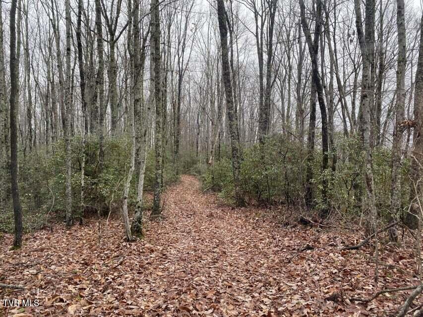 Tbd Pine Camp Road, Coeburn, Virginia image 6
