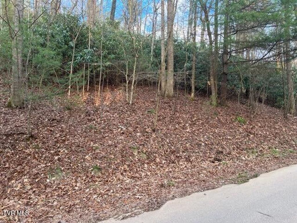 Photo of Tbd Poplar Road, Unicoi, TN 37692 (MLS # 9977532)