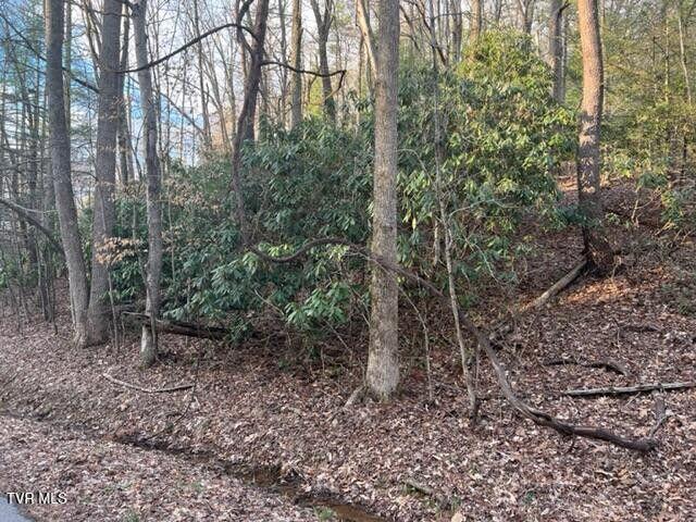 Tbd Poplar Road, Unicoi, Tennessee image 4