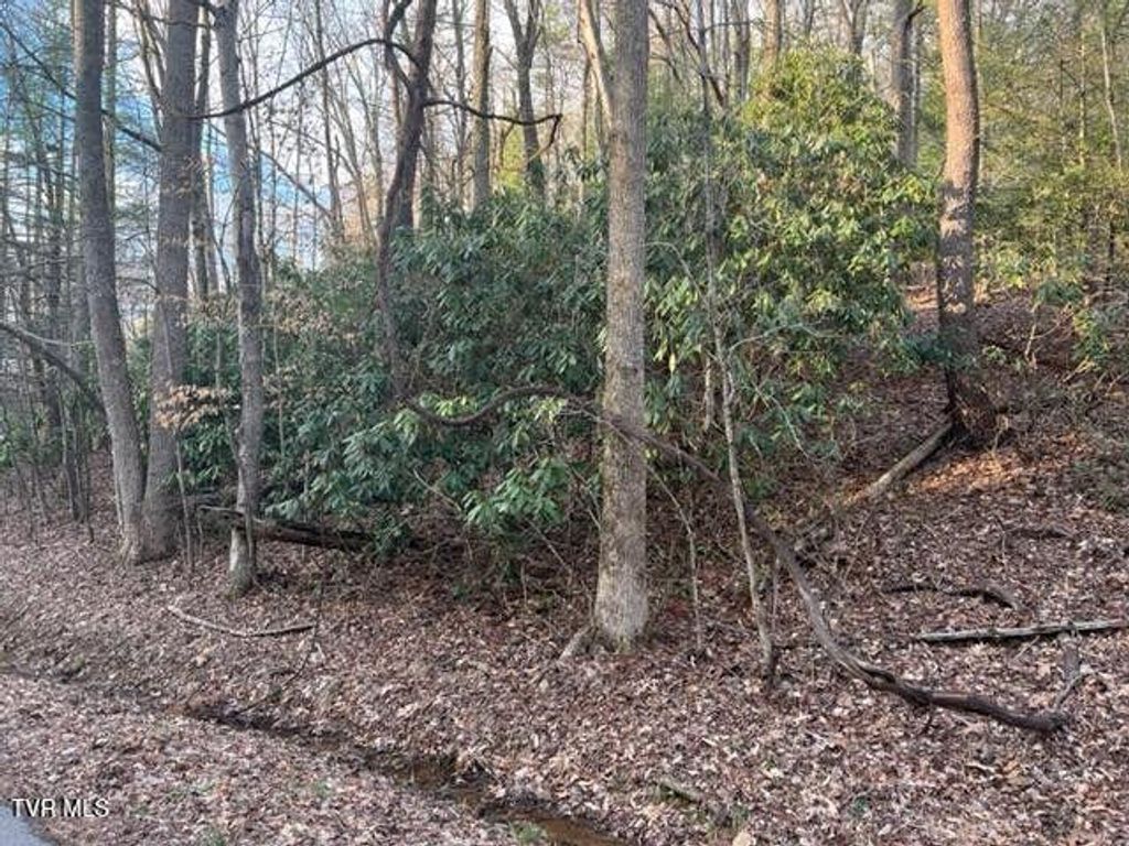 Photo of Tbd Poplar Road, Unicoi, TN 37692 (MLS # 9977532)