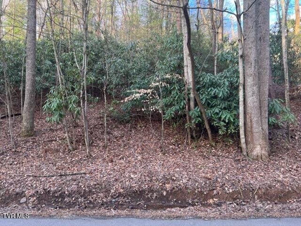 Photo of Tbd Poplar Road, Unicoi, TN 37692 (MLS # 9977532)