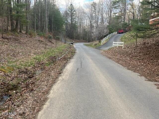 Tbd Poplar Road, Unicoi, Tennessee image 3
