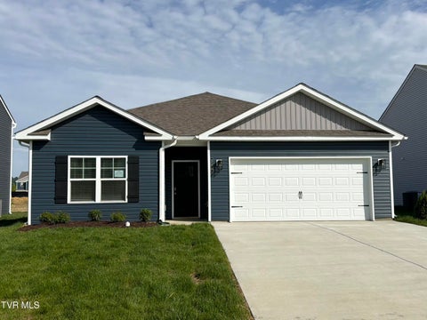 Homes For Sale - 230 Artist Avenue Ave<br/> Washington County County, Johnson City, TN 37615