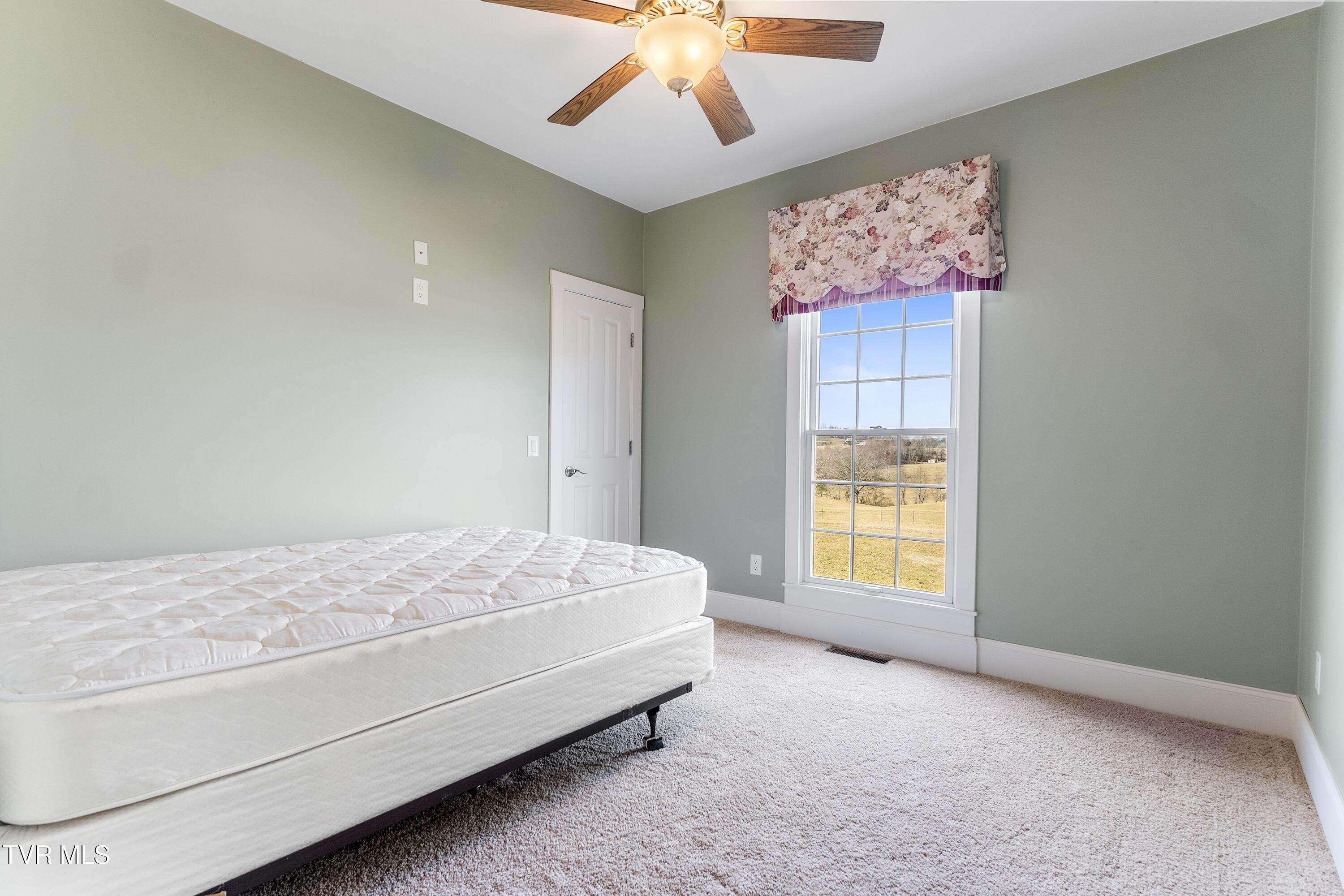 287 Saylor Hill Road, Limestone, Tennessee image 33