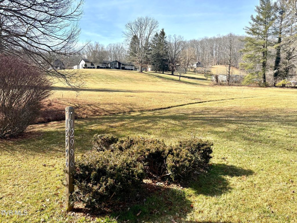 Photo of 12996 River Lane, Coeburn, VA 24230 (MLS # 9991128)