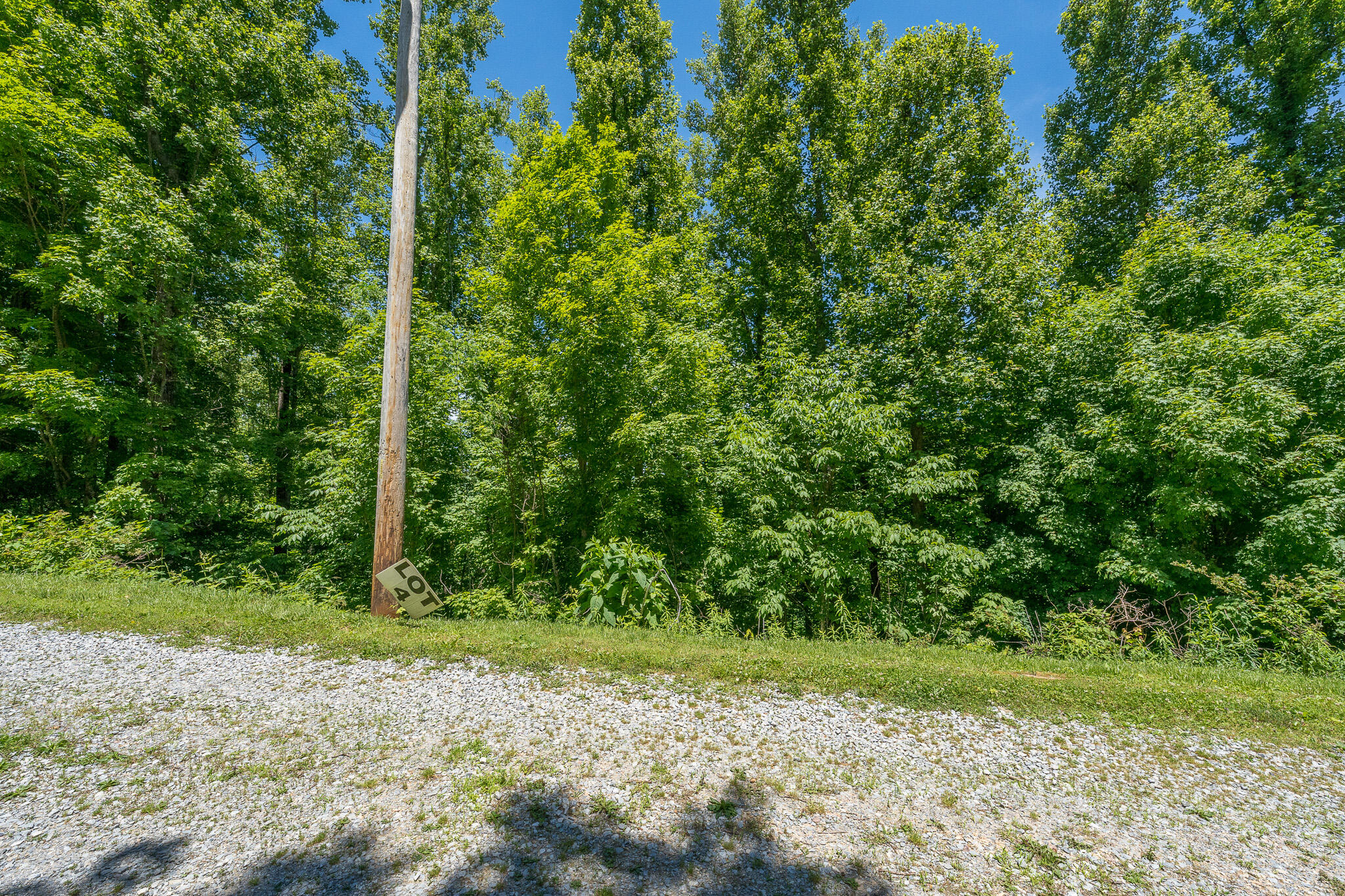 Lot 4 Ridgetop Lane, Unicoi, Tennessee image 27