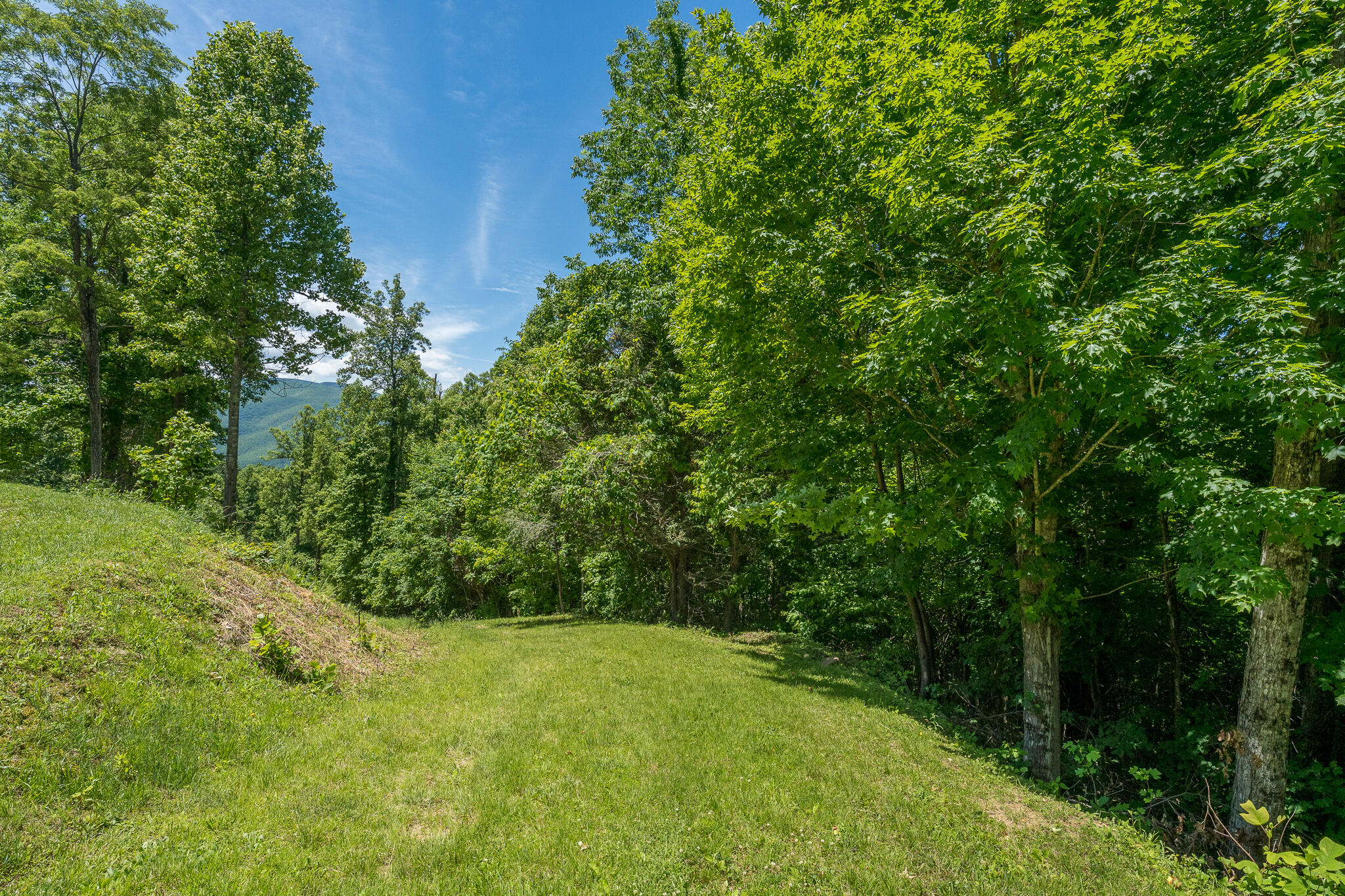 Lot 4 Ridgetop Lane, Unicoi, Tennessee image 30