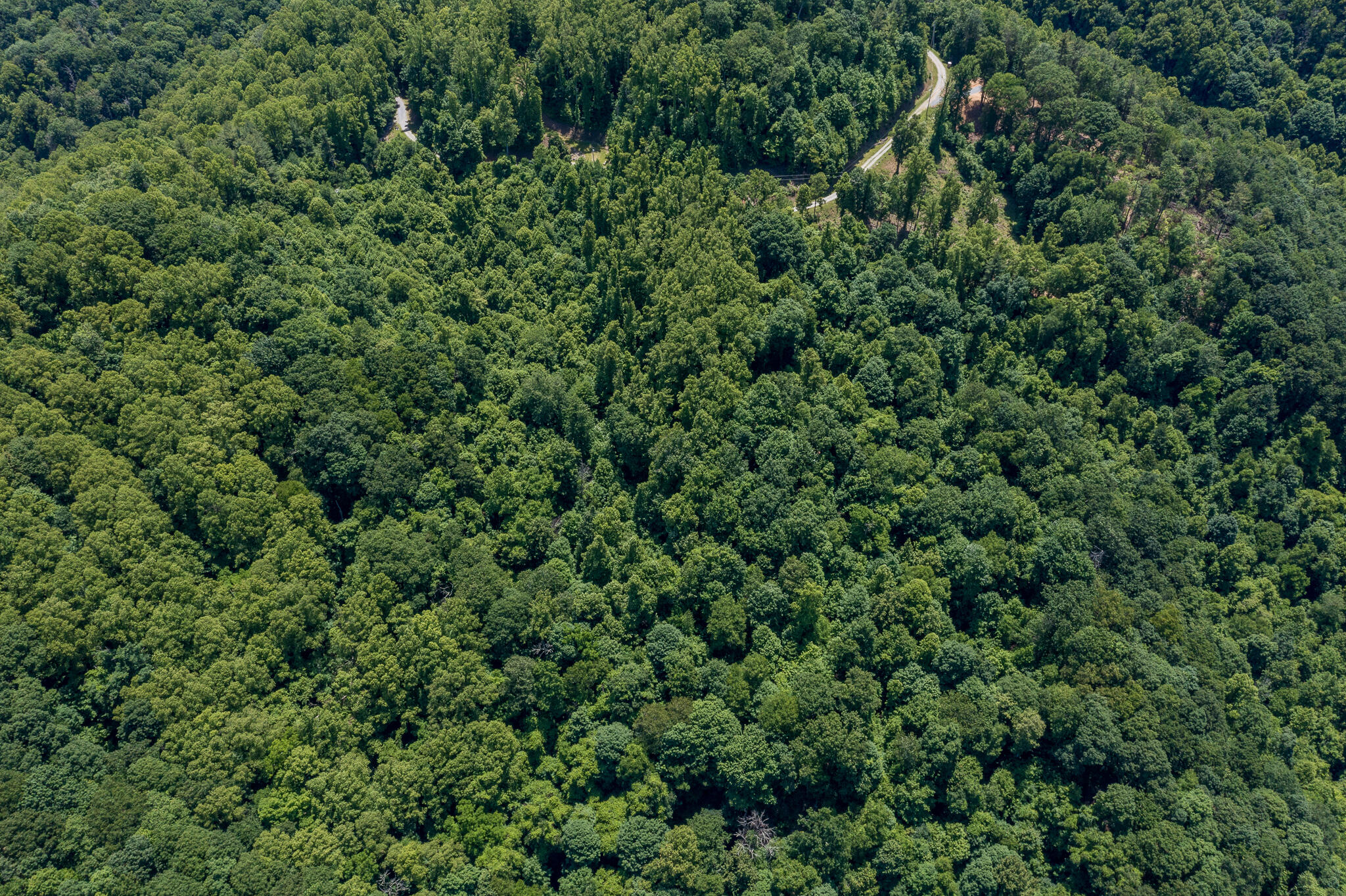Lot 4 Ridgetop Lane, Unicoi, Tennessee image 16