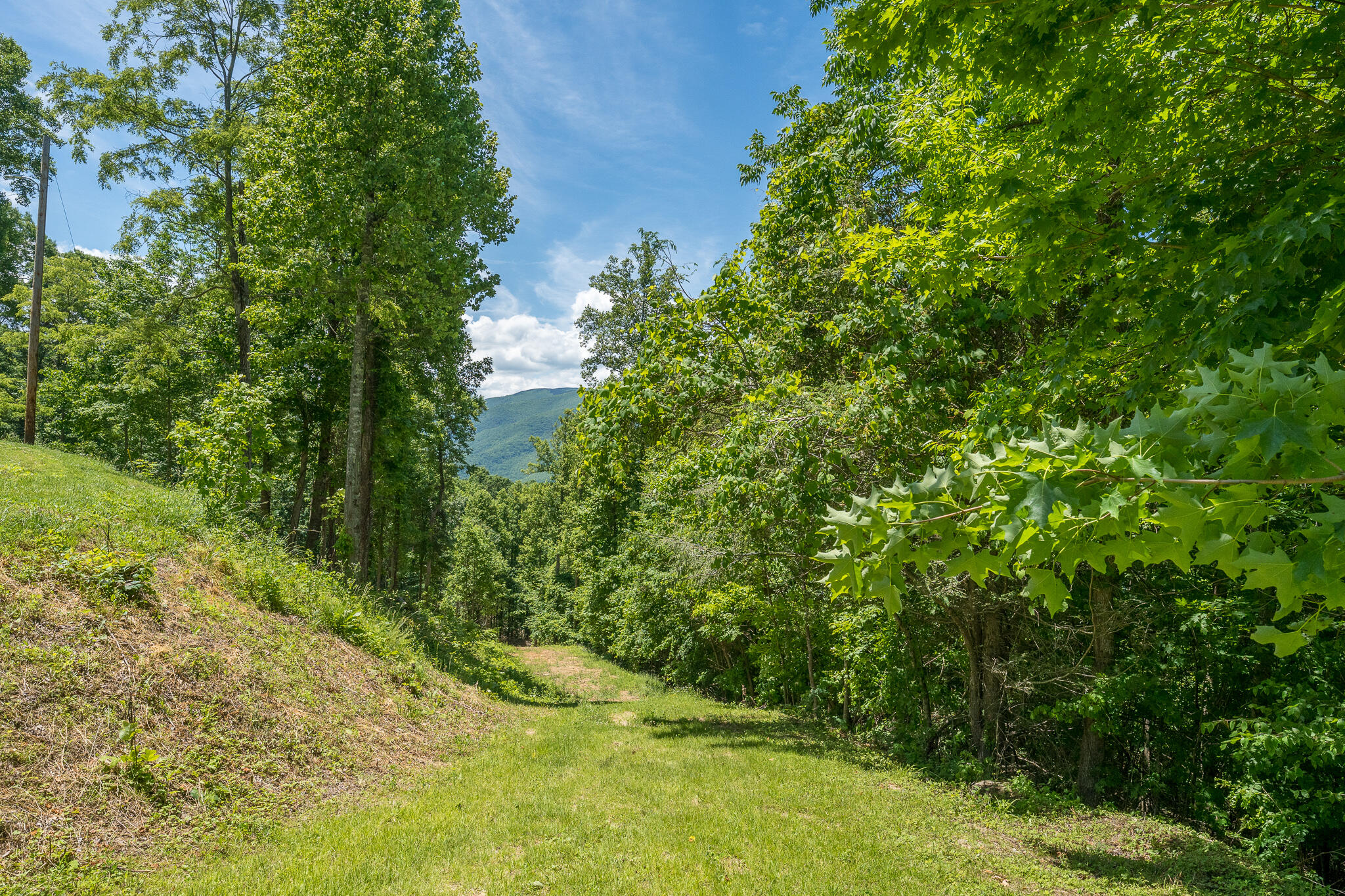 Lot 4 Ridgetop Lane, Unicoi, Tennessee image 31