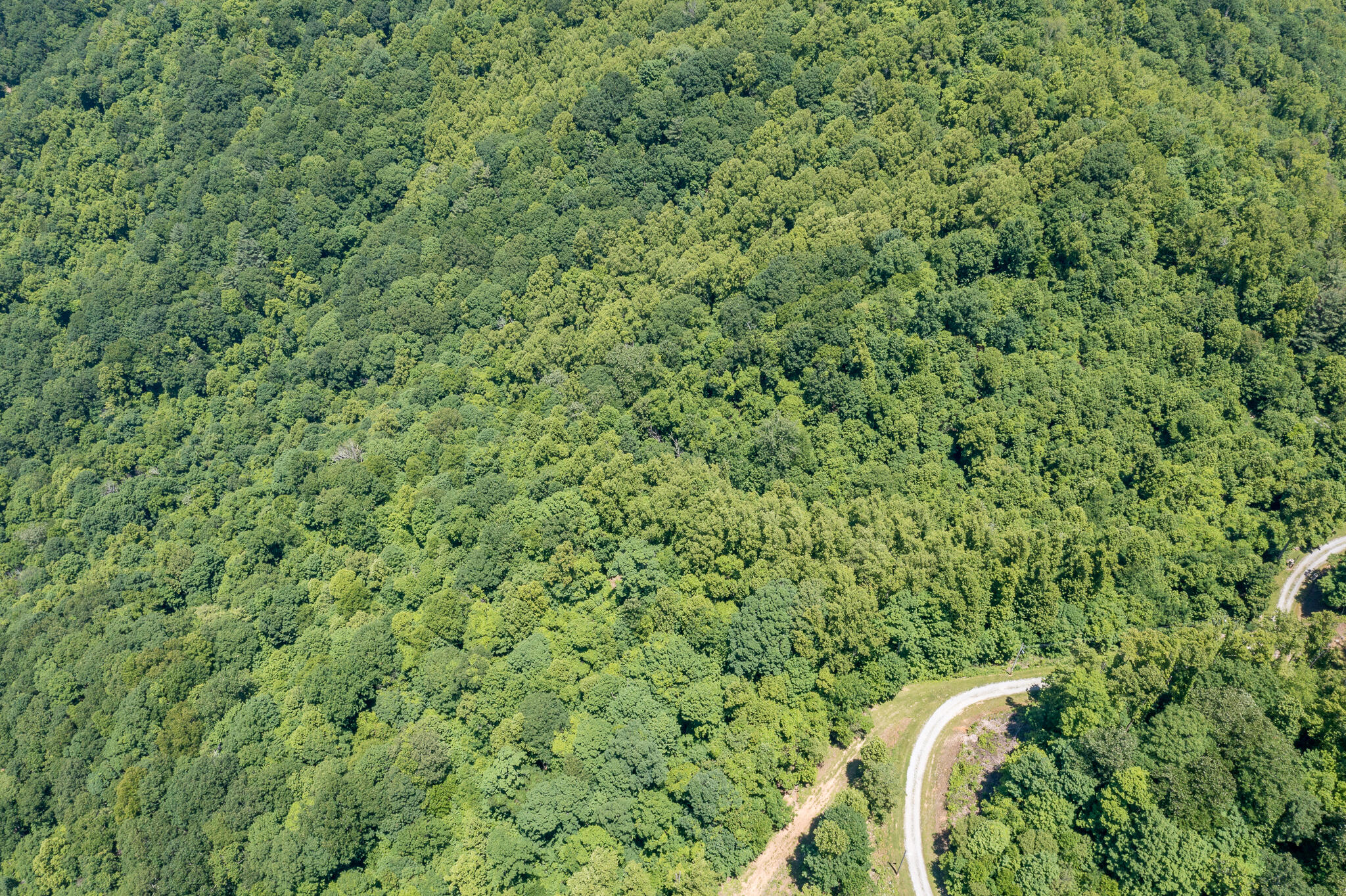 Lot 4 Ridgetop Lane, Unicoi, Tennessee image 25